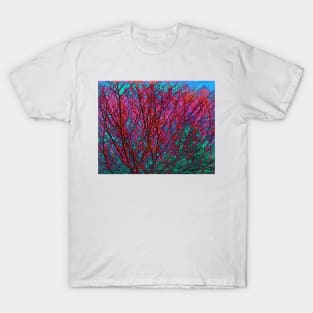 Barren Trees T-Shirt
